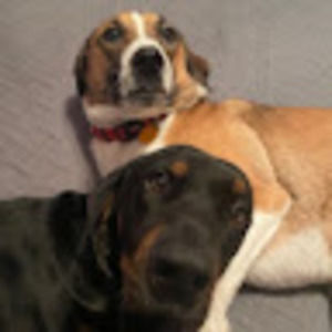 Meet your Posher, Tina